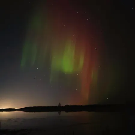 Villa Forest -private Location, Sauna And Jacuzzi *